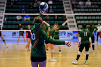 Weedsport (III) vs York (V)