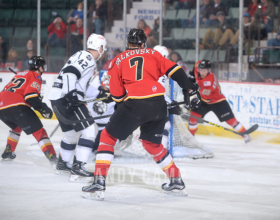 Stepan Falkovsky of the Adirondack Thunder