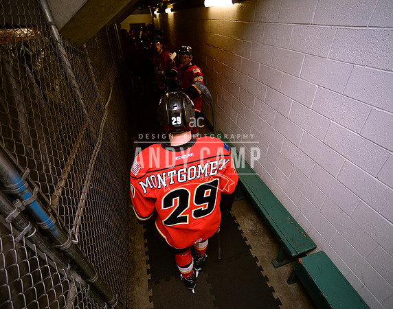 Brock Montgomery of the Adirondack Thunder