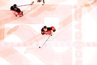 Adirondack Flames