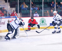 Thunder Action Photos