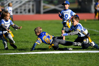 1-2 Teams 2 and 4 Games